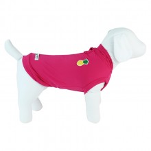 regata para pet
